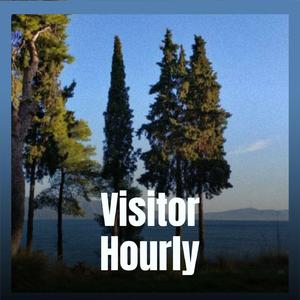 Visitor Hourly
