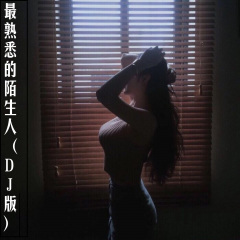 越长大越孤单 (Remix)