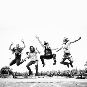 El Tecolote Fisgón un Pájaro Sobreviviente