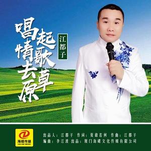 唱起情歌去草原 (DJ若男版伴奏)