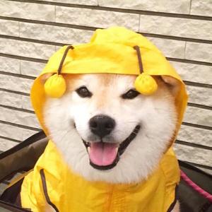 改变了自己输了你-纯音乐