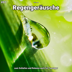Regengeräusche, pt. 7
