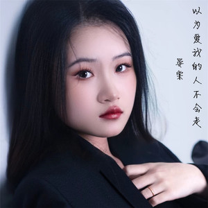 以为爱我的人不会走