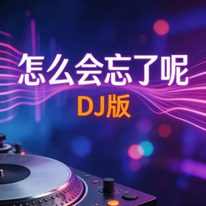 怎么会忘了呢dj版