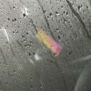 通过电话吻我（Kiss Me Through The Phone）