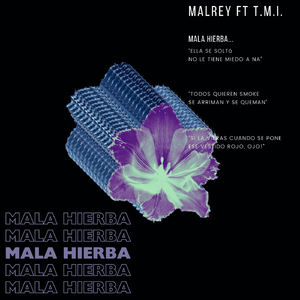 Mala Hierba (feat. T.M.I.)