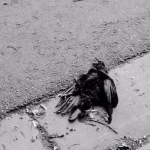 有 些 难 以 启 齿 的 柔 弱