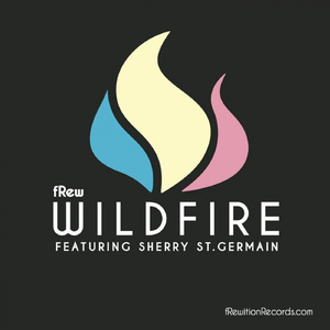 Wild Fire (Chris Arnott Remix)