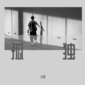 孤独【抖音热搜版】-cover王佳杨