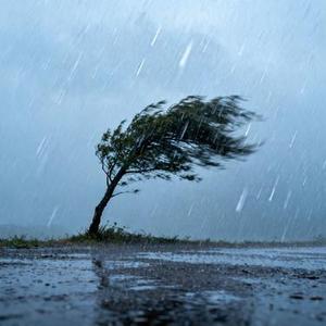 其实雨也没多大 是风在拼命刮