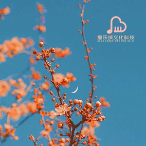 身骑白马去有风的地方（雨声催眠）