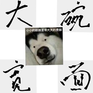 大碗宽面（此风格小白版）