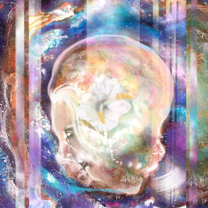 Didgeridoo Hllabaloo