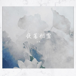 夜落初雪