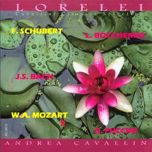 Ave Maria, Op. 52 No. 6, D. 839