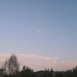 网易云的AI创作-幻想3