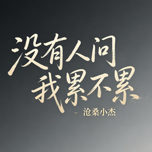 没有人问我累不累（没有人问我醉没醉）