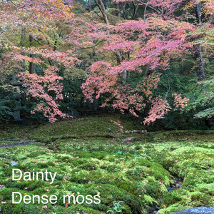 Humoresques (Reboot)