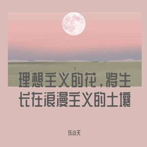 理想主义的花，将开在浪漫主义的土壤里