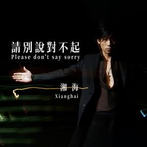 请别说对不起（伴奏）