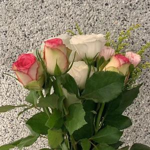 李星然-永不消逝的爱（温柔女声）