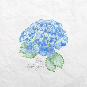 Blue Hydrangeas
