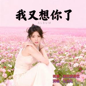 我又想你了（DJ舞曲加快版）