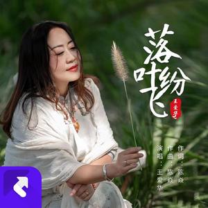 落叶纷飞（DJ版）