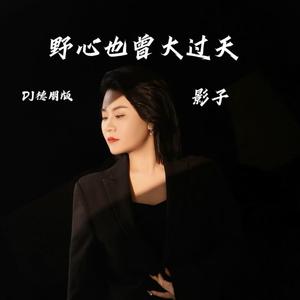 野心也曾大过天 (DJ德朋版)