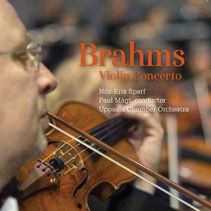 Violin Concerto in D Major, Op. 77:I. Allegro non troppo