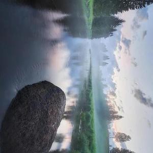 跟你走天涯