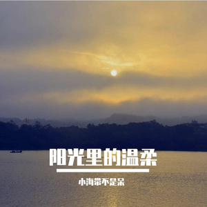 阳光里的温柔