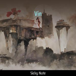 Vin