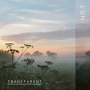 Transparent