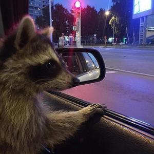 some people never change (feat. spawncamped)