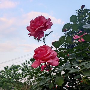 下午醒来的20分钟