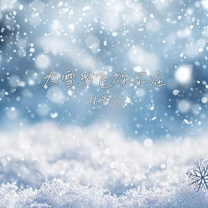 大雪纷飞你不在