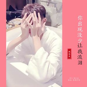 你出现没少让我流泪（释怀版）