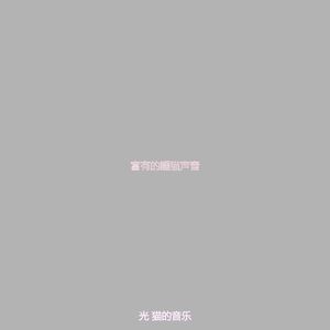精彩可爱的猫环境