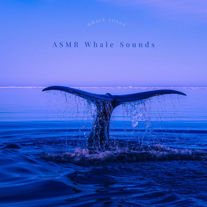 Atlantic Whale Song