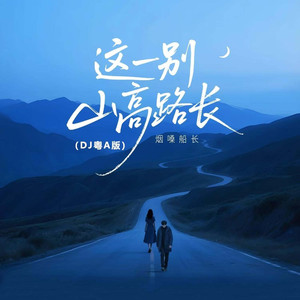 这一别山高路长 (DJ粤A版)