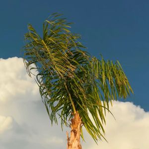 青苔漫溯的石阶