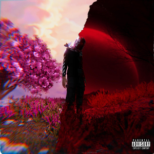 Lurking in the Night