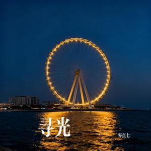寻光