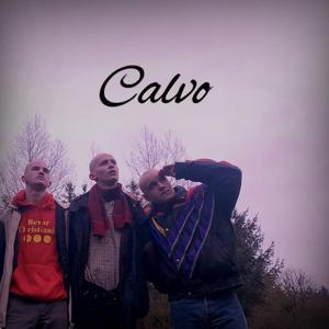 Calvo