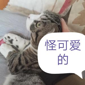 怪可爱的——《温暖的抱抱》电影宣传曲（翻自 老番茄）