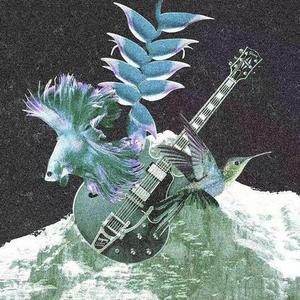 想不出来歌名了