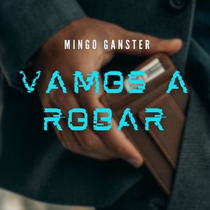 Vamos a Robar