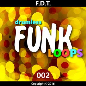 Fdt Drumless Funk Loops 002