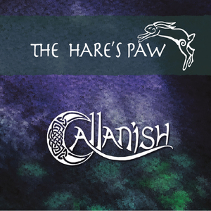 Gan Ainm / The Curragh Races / John Walsh's (Polkas)
